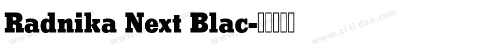 Radnika Next Blac字体转换